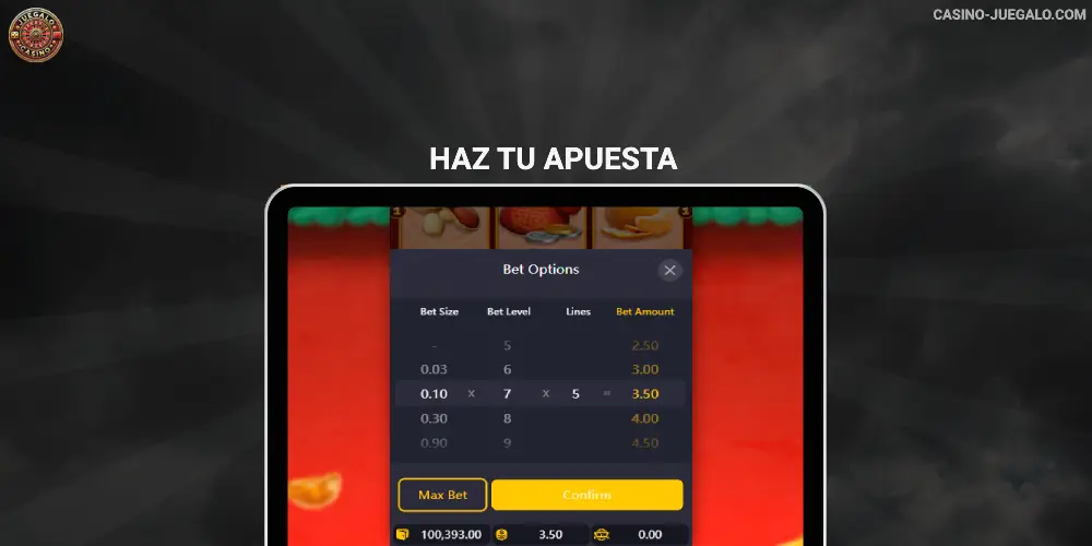 Paso 3 - Realiza tu apuesta